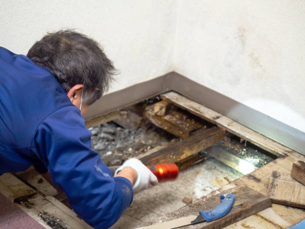 Best Office Mold Removal Services  in Pomona, KS