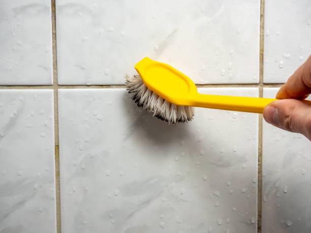  Pomona, KS Mold Removal Pros