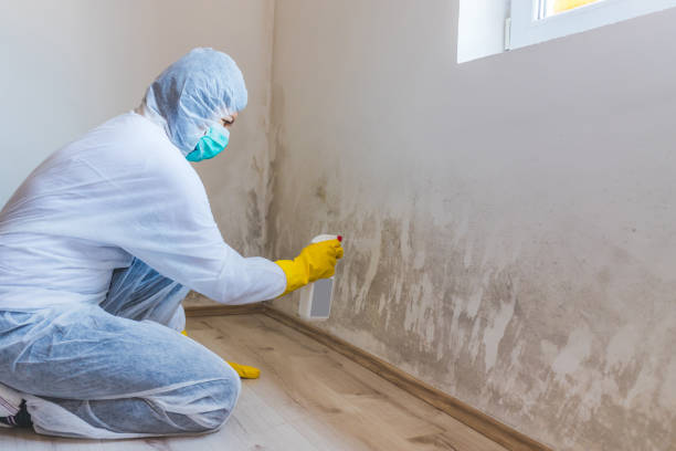 Best Residential Mold Removal  in Pomona, KS
