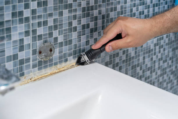 Best Fast Mold Removal  in Pomona, KS