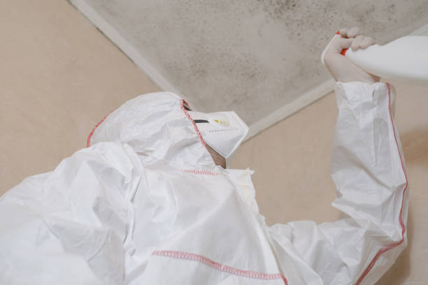 Best Affordable Mold Removal  in Pomona, KS