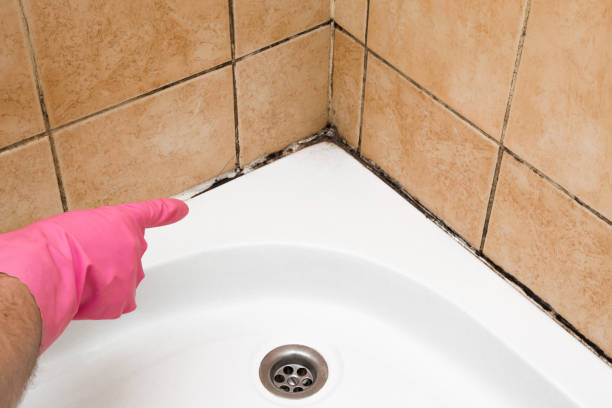 Best Mold Testing  in Pomona, KS